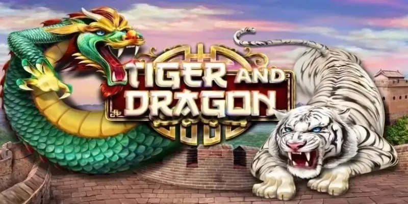 Hướng dẫn tham gia Dragon Tiger tại nhà cái chi tiết cho tân thủ